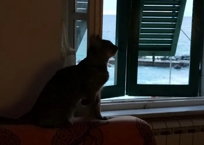 La Piccola Barca